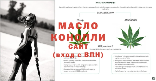 spice Армянск